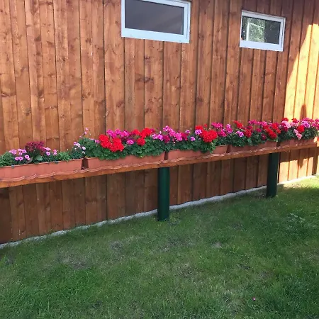 Blume * Schwielowsee