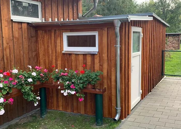 Blume Daire Schwielowsee