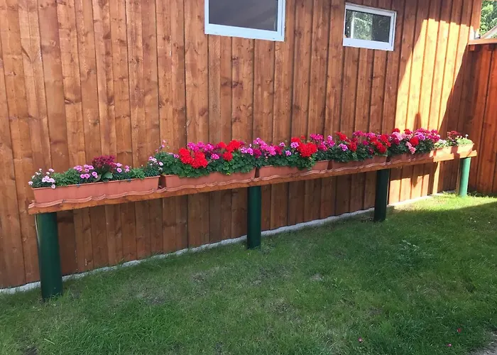 Blume * Schwielowsee