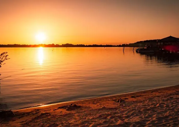 Blume Daire Schwielowsee